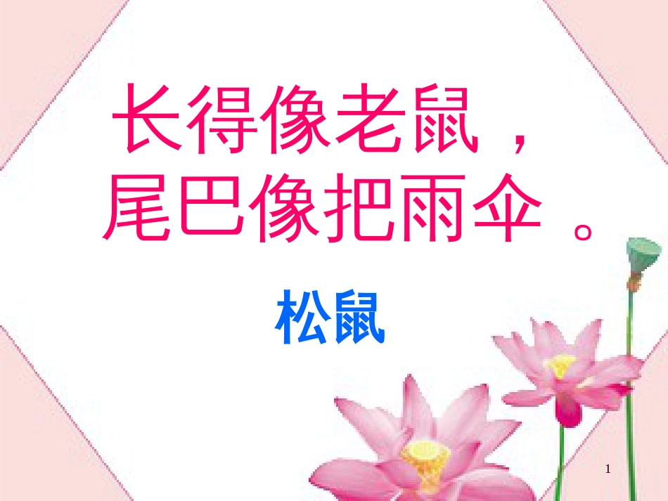 一年级语文上册 小松鼠找花生课件1 鲁教版[共71页][共71页]_第1页
