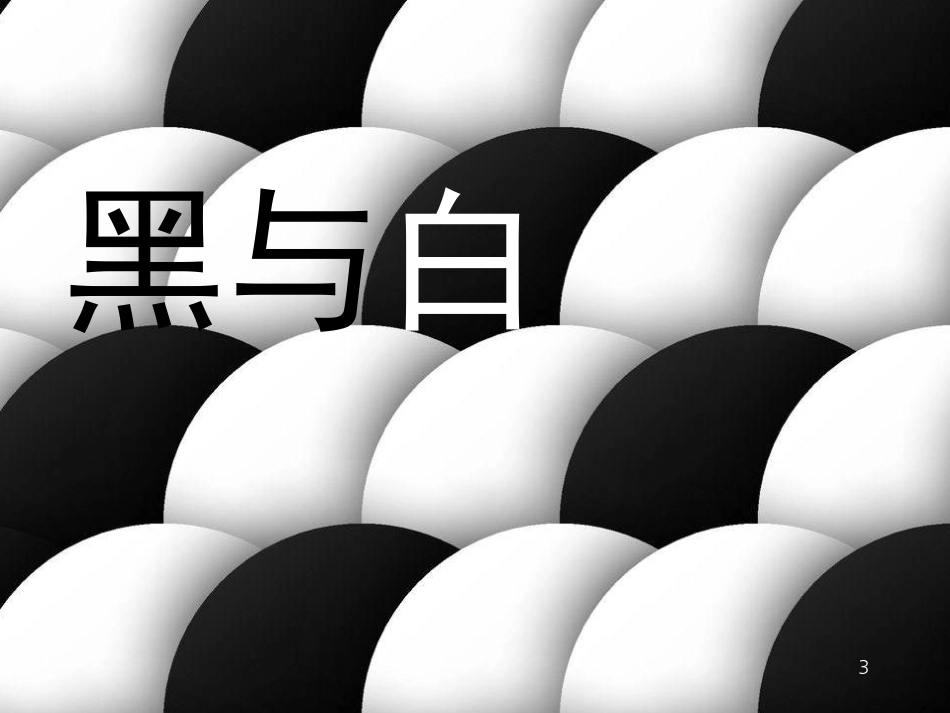 三年级美术上册 第6课 黑与白课件3 新人教版[共22页]_第3页