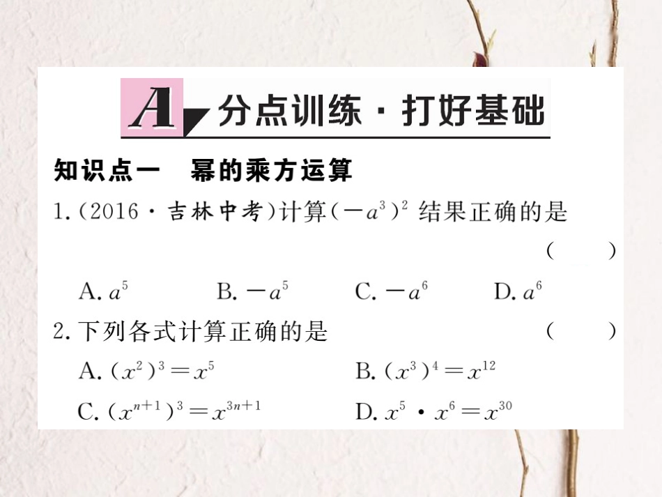 八年级数学上册 14.1.2 幂的乘方习题课件 （新版）新人教版_第2页