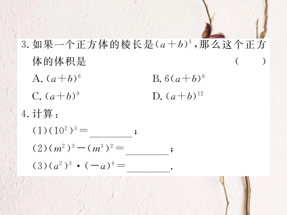 八年级数学上册 14.1.2 幂的乘方习题课件 （新版）新人教版_第3页