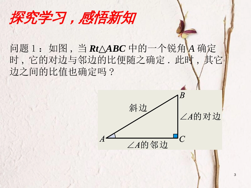 九年级数学下册 1.1.2 锐角三角函数课件 （新版）北师大版[共14页]_第3页