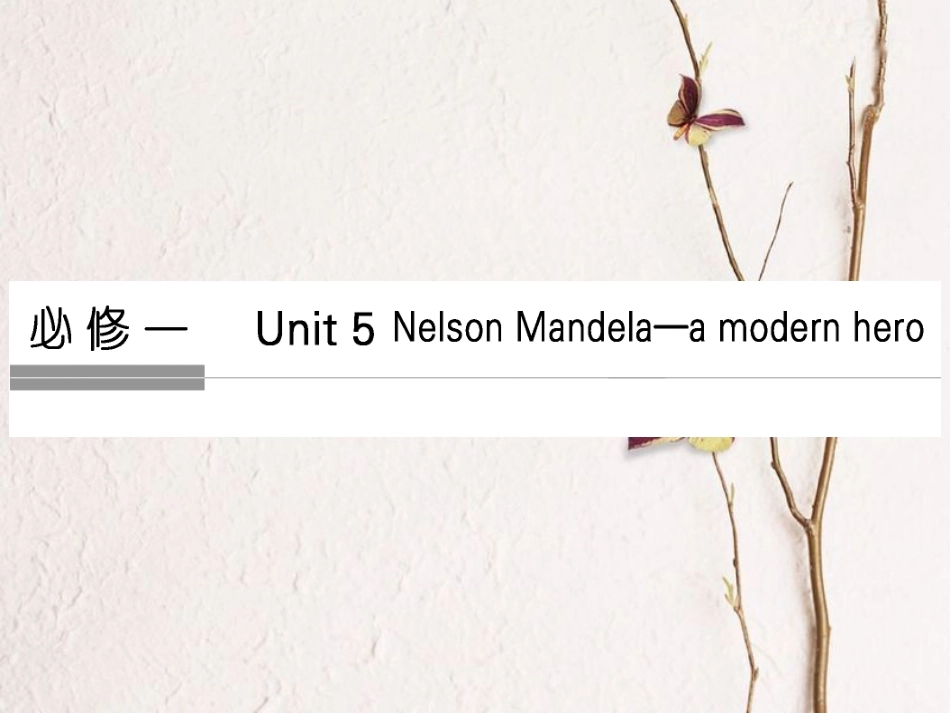 （全国）高考英语一轮复习 Unit 5 Nelson Mandela a modern hero课件 新人教必修1_第1页