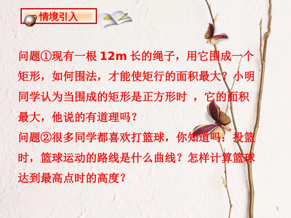 九年级数学下册 2.1 二次函数课件 （新版）北师大版[共14页]_第3页