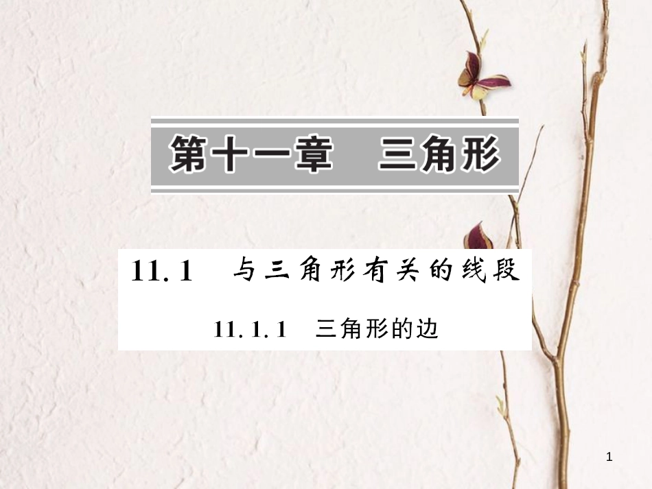 fnpAAA八年级数学上册 11.1.1 三角形的边课件 （新版）新人教版_第1页