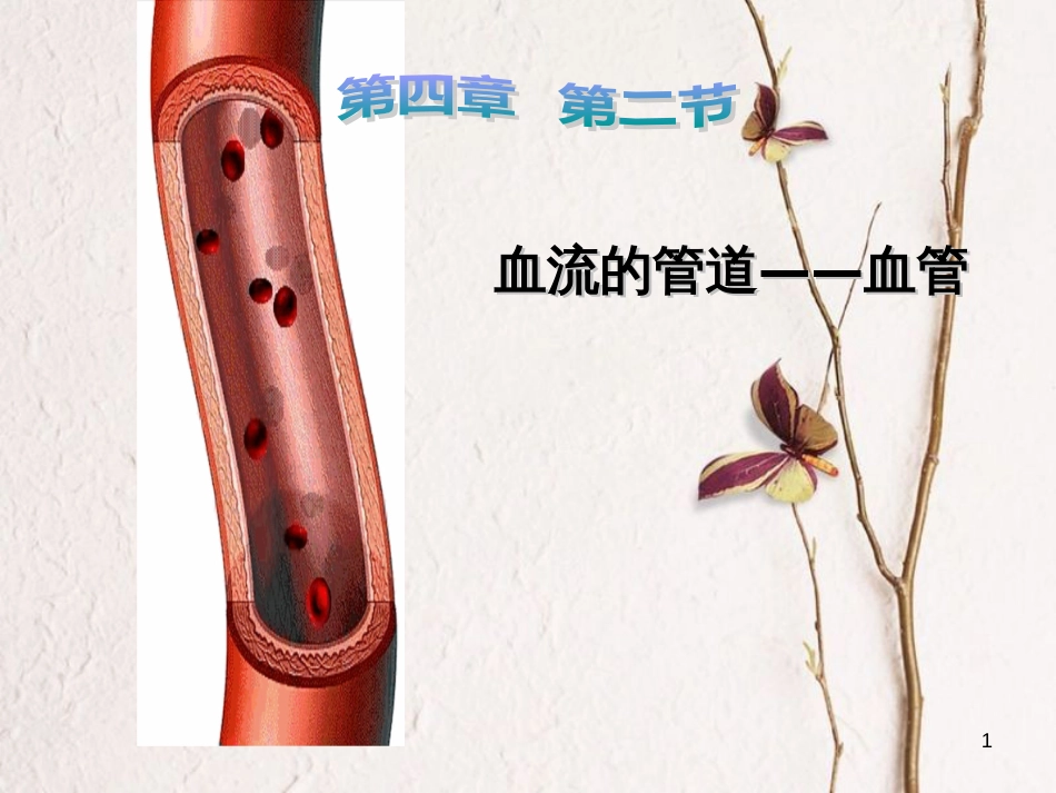 七年级生物下册 第四单元 第四章 第二节 血流的管道--血管教学课件 （新版）新人教版[共10页]_第1页