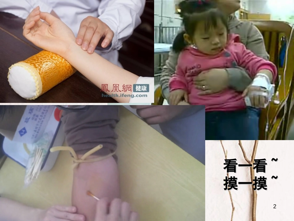 七年级生物下册 第四单元 第四章 第二节 血流的管道--血管教学课件 （新版）新人教版[共10页]_第2页