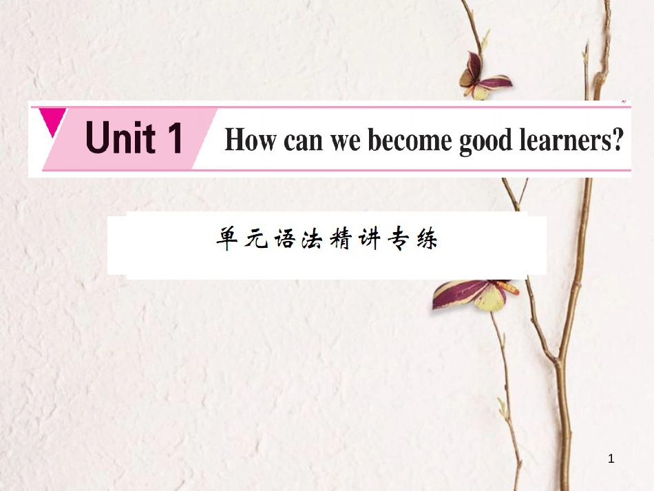 briAAA九年级英语全册 Unit 1 How can we become good learners语法精讲专练课件 （新版）人教新目标版_第1页