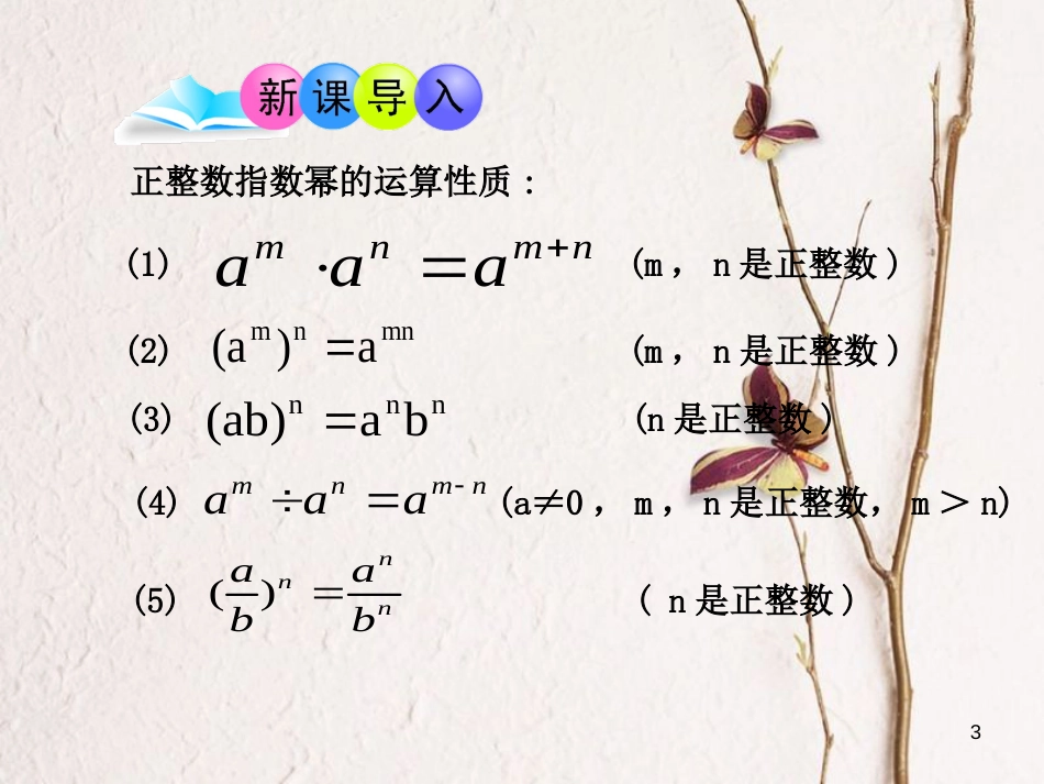 北大绿卡八年级数学上册 15.2.3整数指数幂课件 （新版）新人教版[共22页]_第3页