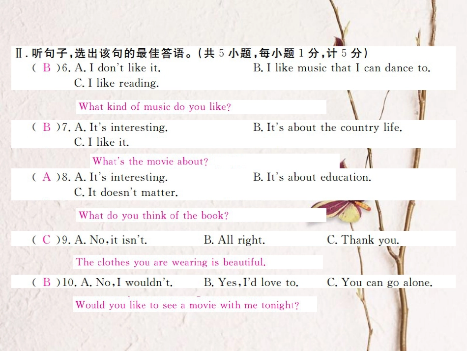 （河北专）九年级英语全册 Unit 9 I like music that I can dance to检测卷课件 （新）人教新目标版_第3页