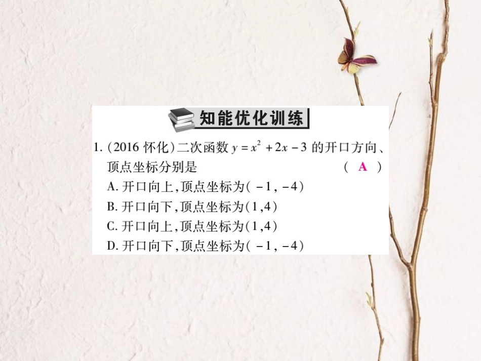 中考数学总复习 第一轮 基础知识复习 第三章 函数及其图象 第5讲 二次函数（练册本）课件[共41页]_第3页