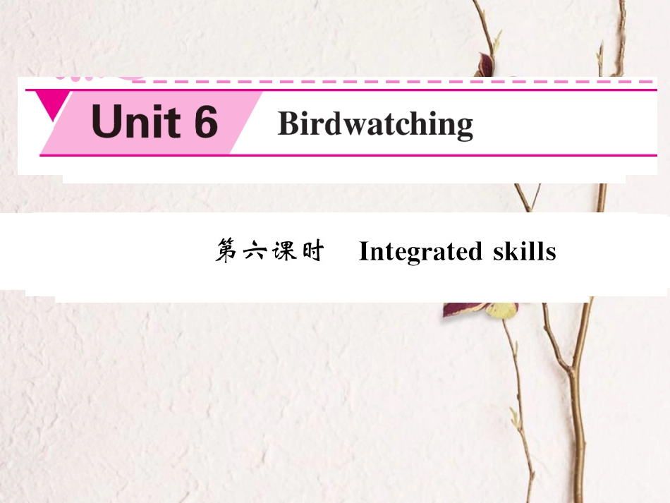 八年级英语上册 Unit 6 Bird watching（第6课时）课件 （新版）牛津版[共4页]_第1页