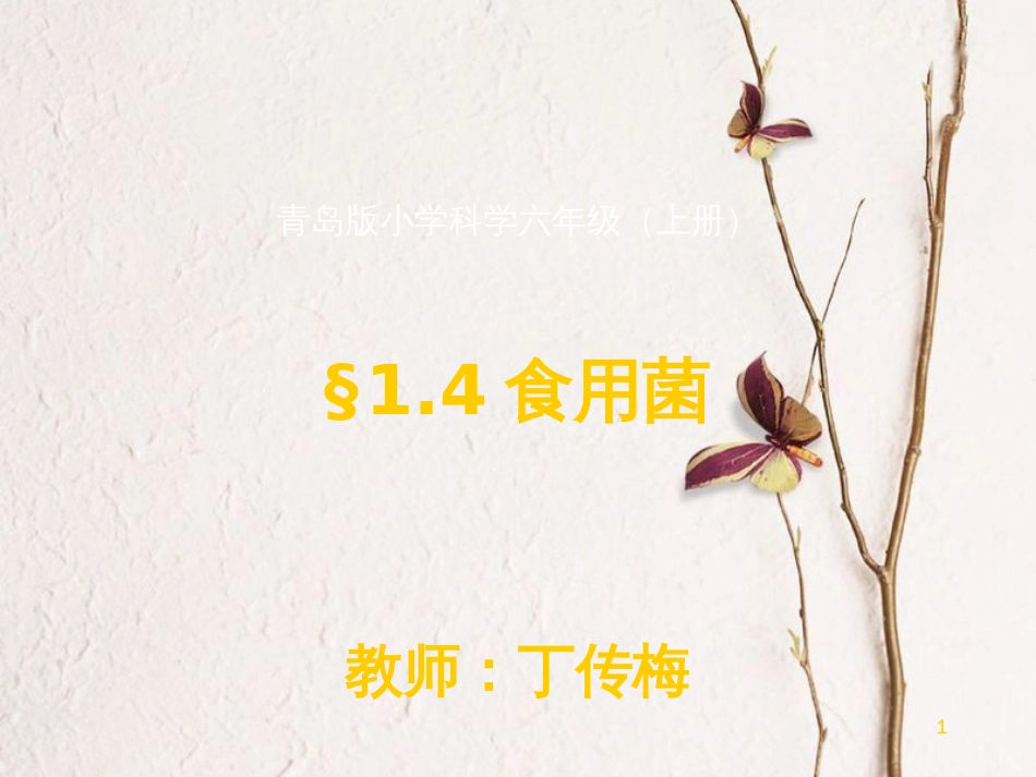 六年级科学上册 食用菌课件4 青岛版[共36页]_第1页