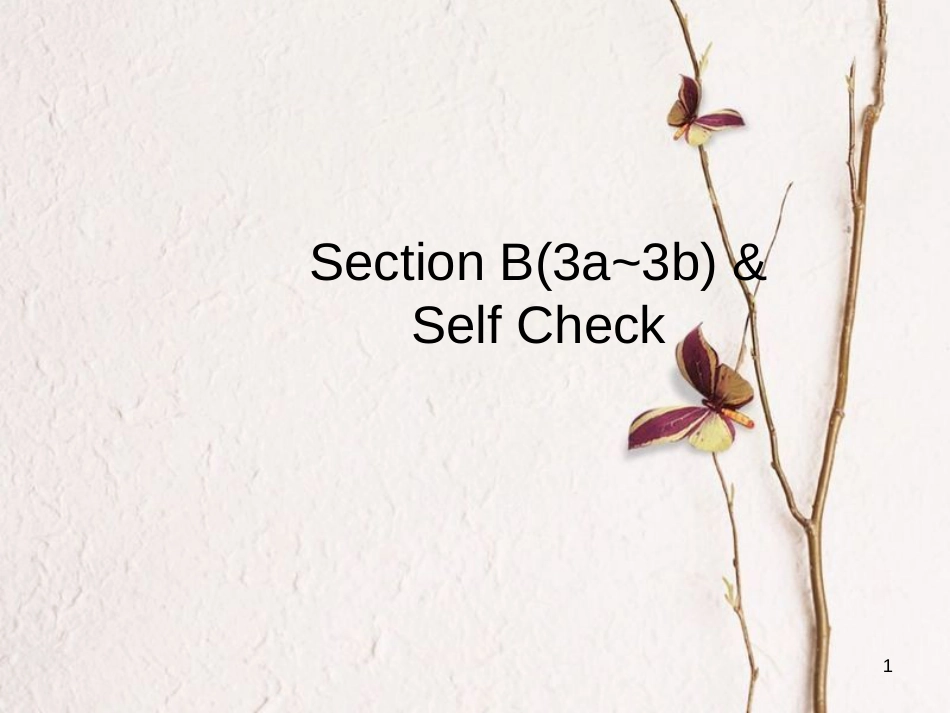 七年级英语下册 Unit 6 Im watching TV Section B（3a-3b）&Self Check课件 （新版）人教新目标版_第1页