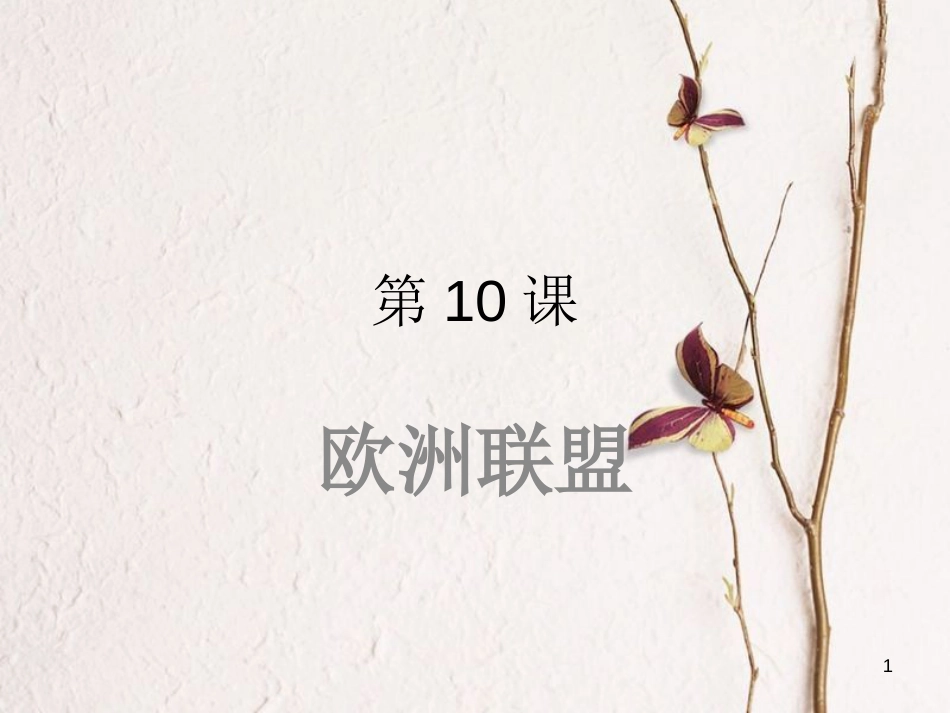 九年级历史下册 第四单元 第10课 欧洲联盟课件4 岳麓版[共22页]_第1页