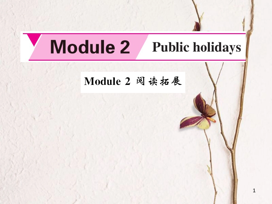 fxkAAA九年级英语上册 Module 2 Public holidays阅读拓展课件 （新版）外研版_第1页