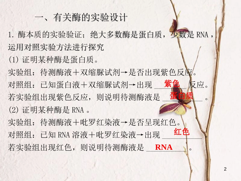 陕西省西安市高考生物 细胞代谢专题 第二部分 降低化学反应活化能的酶复习课件[共26页]_第2页