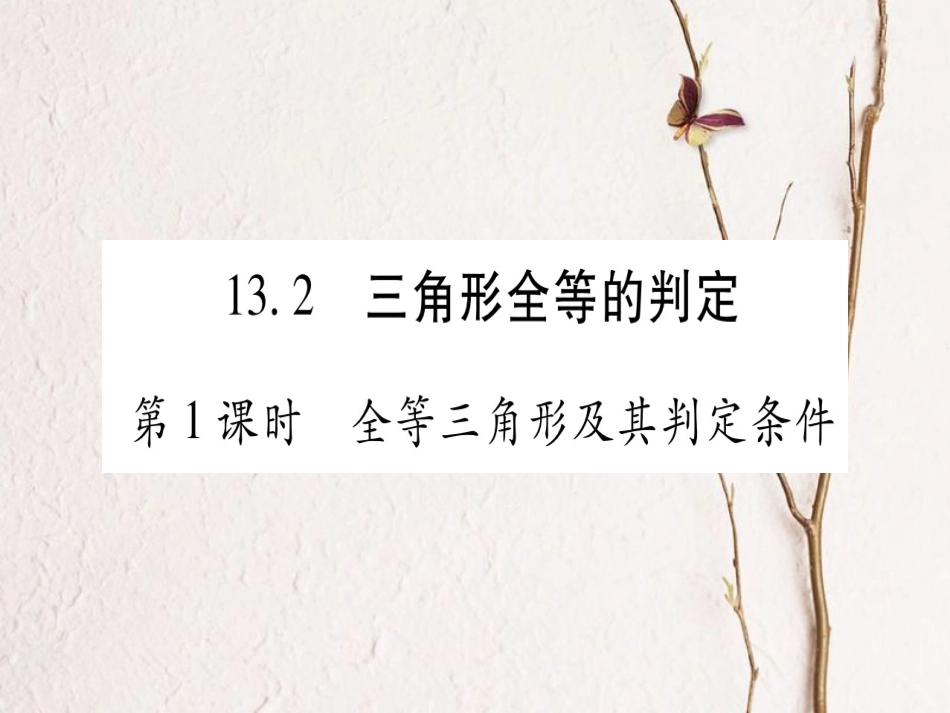 八年级数学上册 13.2 三角形全等的判定习题课件 （新版）华东师大版[共127页]_第1页