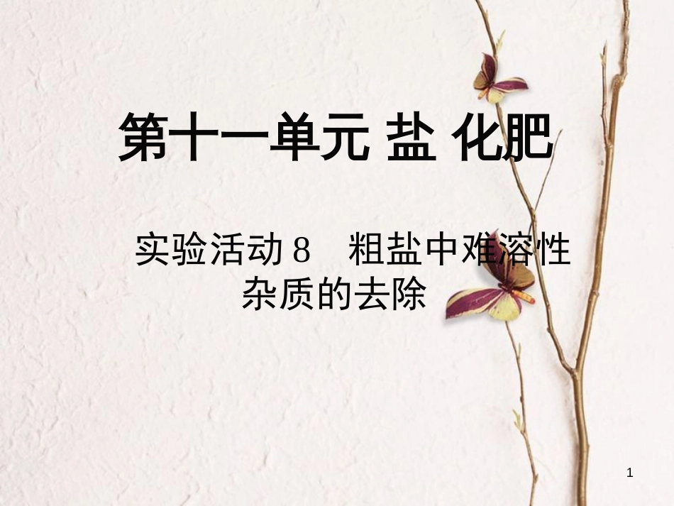 九年级化学下册 第11单元 盐 化肥 实验活动8 粗盐中难溶性杂质的去除教学课件 （新版）新人教版[共10页]_第1页