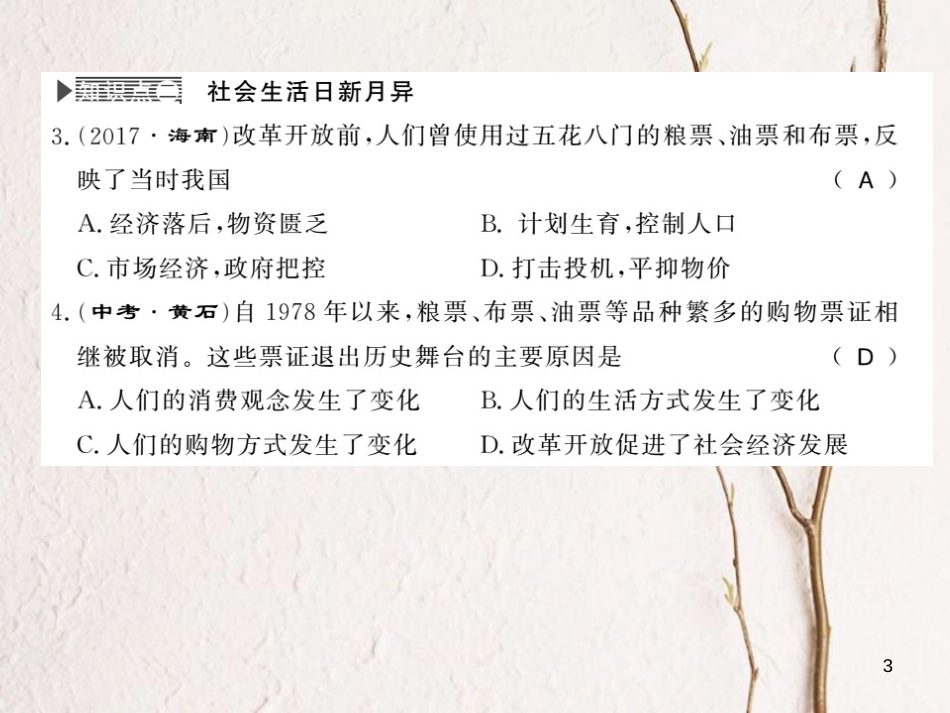 八年级历史下册 第四单元 建设中国特色社会主义道路的开拓 第十五课 国计民生的改善课件 岳麓版_第3页
