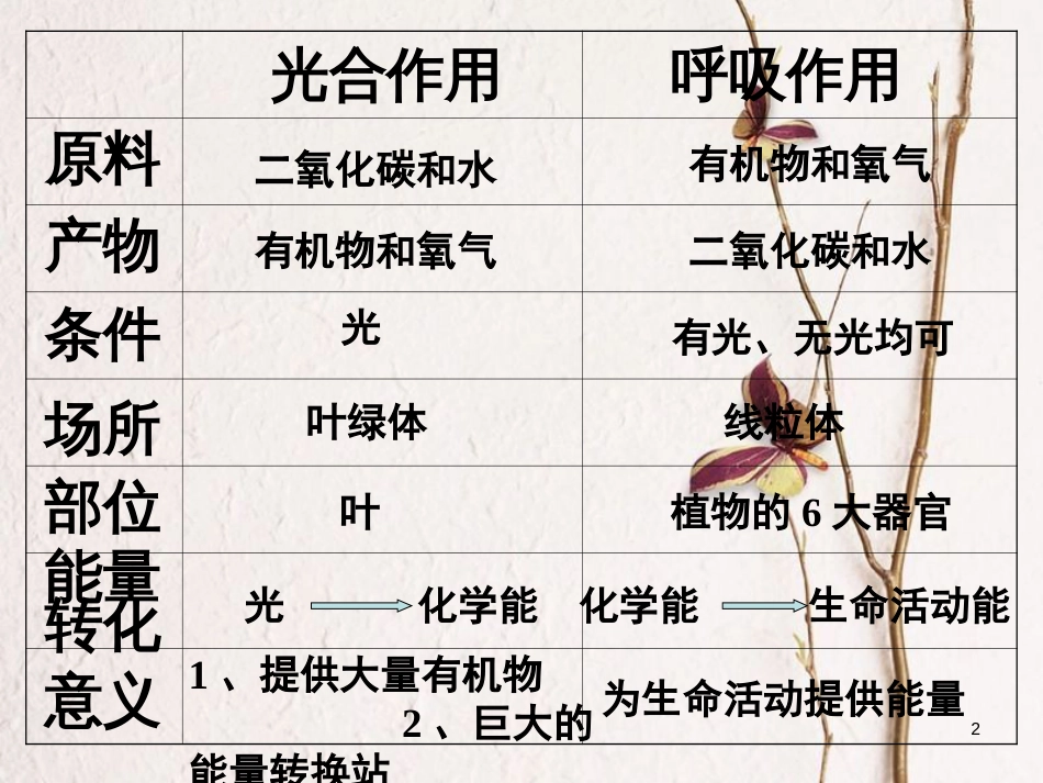 七年级生物下册 第三单元 第六章 第五节 光合作用和呼吸作用原理的应用课件（2）（新版）苏教版[共13页]_第2页