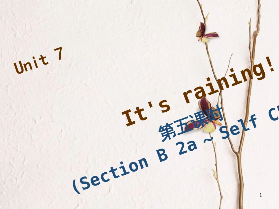 七年级英语下册 Unit 7 It’s raining（第5课时）Section B（2a-Self Check）习题课件 （新版）人教新目标版_第1页