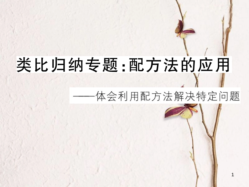 江西省中考数学 类比归纳专题 配方法的应用课件_第1页