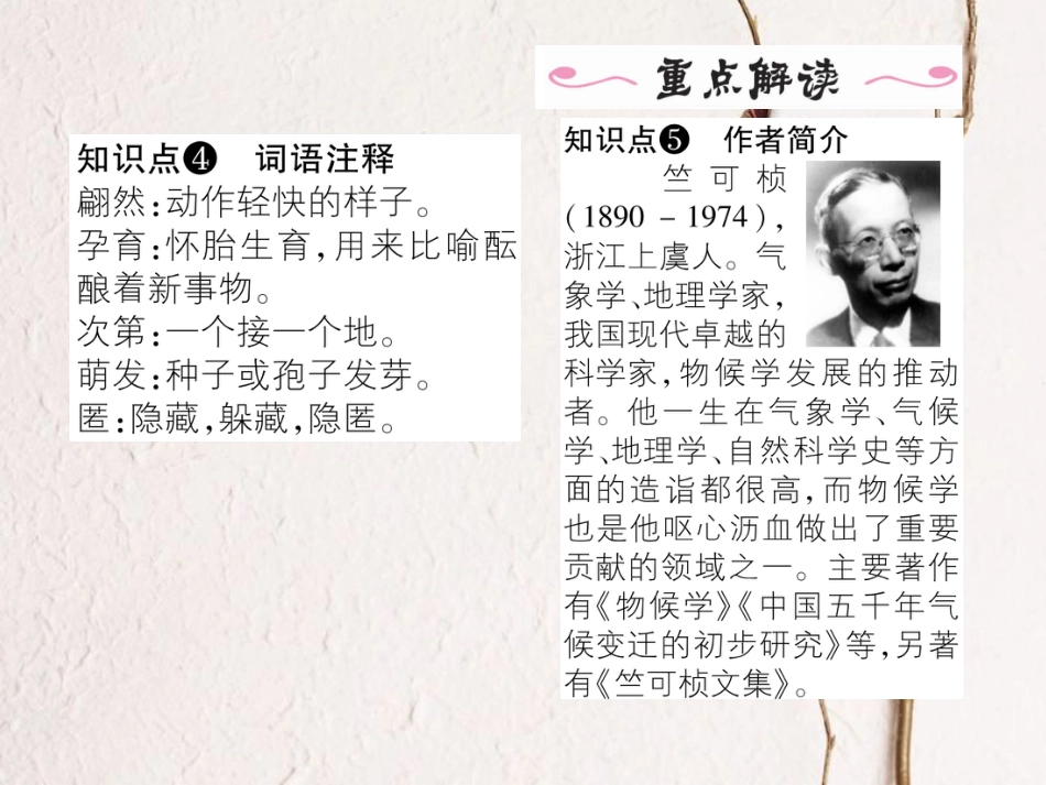 八年级语文上册 第四单元 16《大自然的语言》课件 （新版）新人教版[共23页]_第3页