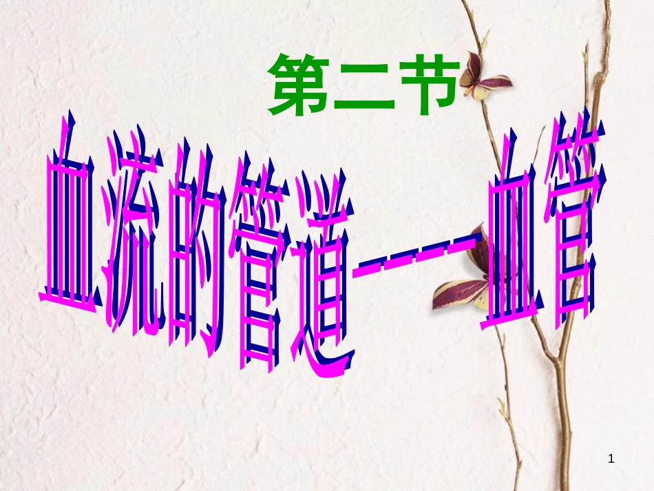七年级生物下册 第四单元 第四章 第二节《血流的管道—血管》课件 （新版）新人教版_第1页