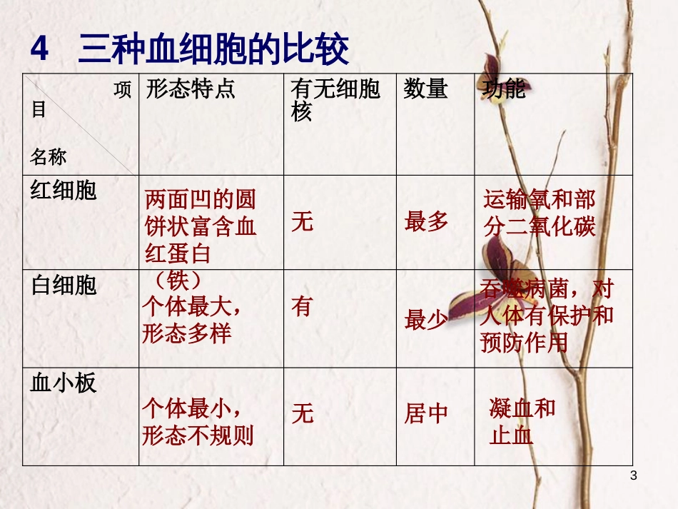 七年级生物下册 第四单元 第四章 第二节《血流的管道—血管》课件 （新版）新人教版_第3页