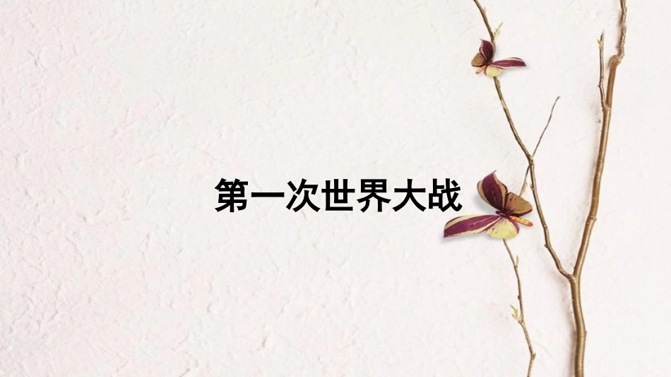 九年级历史下册 世界现代史 第3学习主题 第二次世界大战 主题活动二 两次世界大战史综合学习教学课件 川教版_第2页