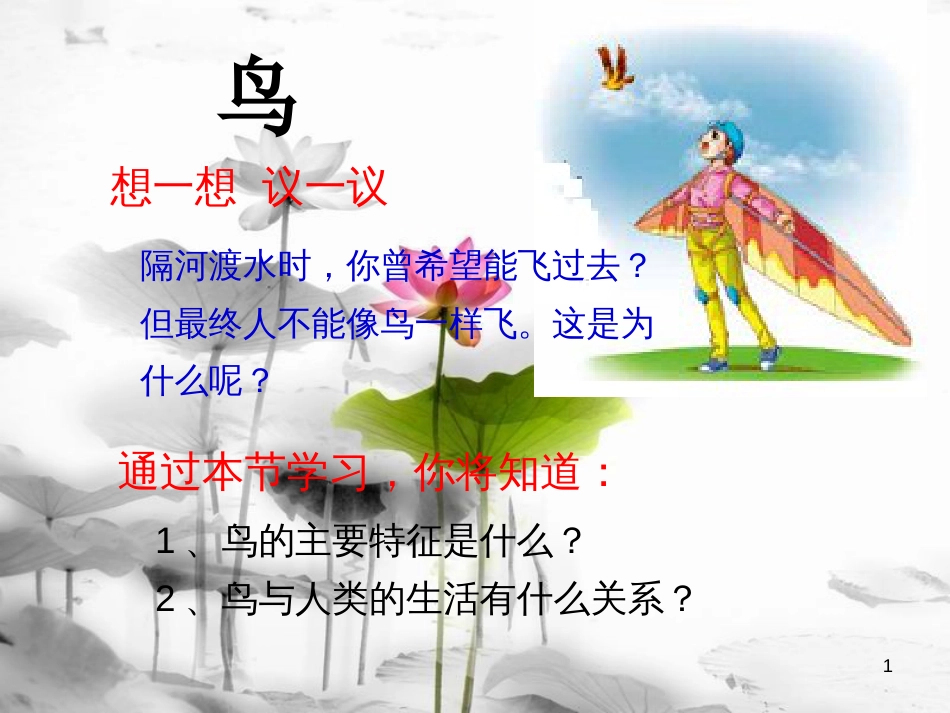 八年级生物上册 5.1.6 鸟课件1 （新版）新人教版[共17页]_第1页