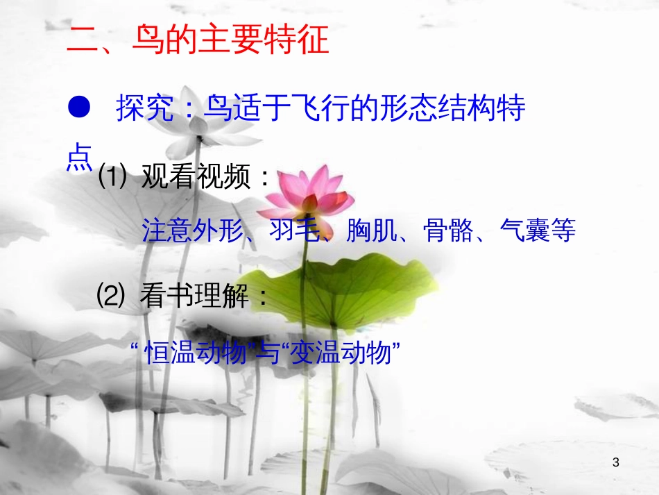 八年级生物上册 5.1.6 鸟课件1 （新版）新人教版[共17页]_第3页