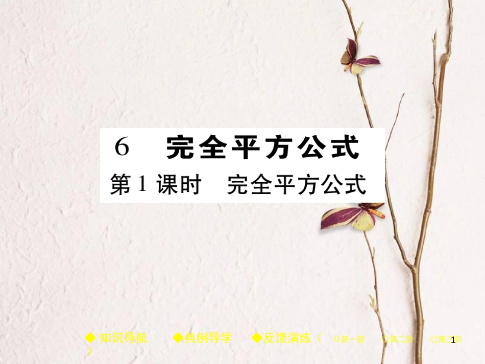 七年级数学下册 第一章 整式的乘除 6 完全平方公式 第1课时 完全平方公式课件 （新版）北师大版_第1页