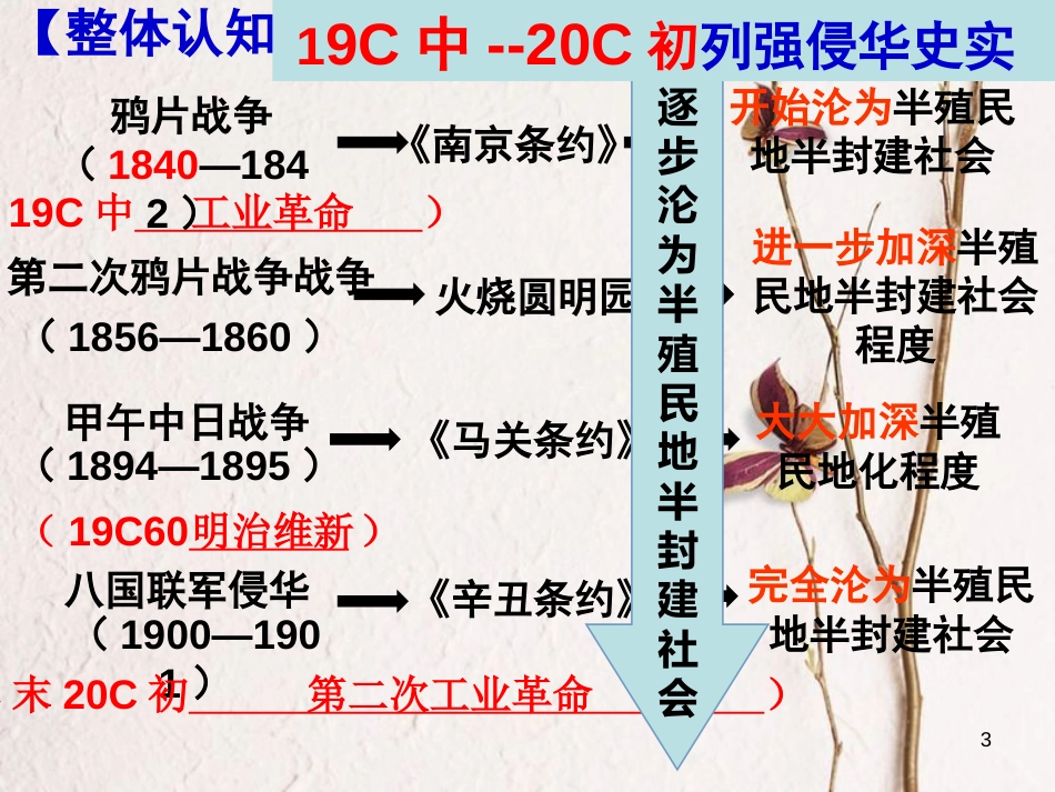 山东省淄博市中考历史 专题一侵略与反抗复习课件[共14页]_第3页