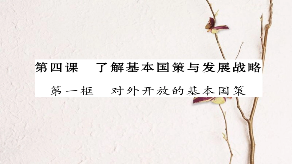九年级政治全册 第二单元 了解祖国 爱我中华 第四课 了解基本国策与发展战略 第1框 对外开放的基本国策同步作业课件 新人教版[共22页]_第1页