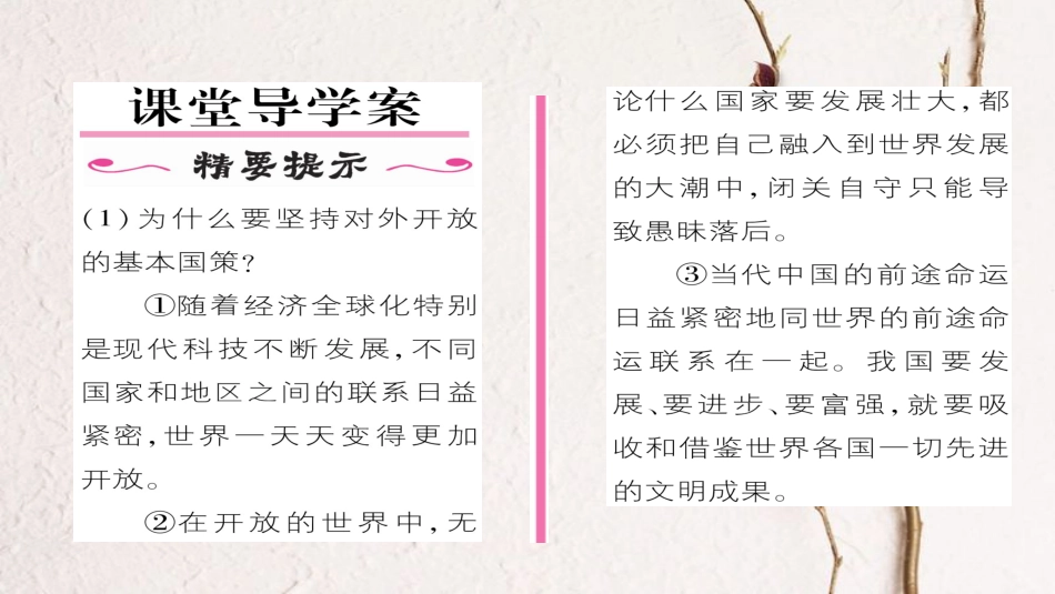 九年级政治全册 第二单元 了解祖国 爱我中华 第四课 了解基本国策与发展战略 第1框 对外开放的基本国策同步作业课件 新人教版[共22页]_第2页