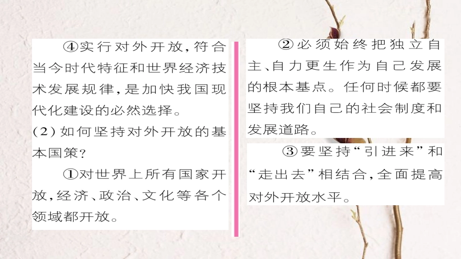 九年级政治全册 第二单元 了解祖国 爱我中华 第四课 了解基本国策与发展战略 第1框 对外开放的基本国策同步作业课件 新人教版[共22页]_第3页