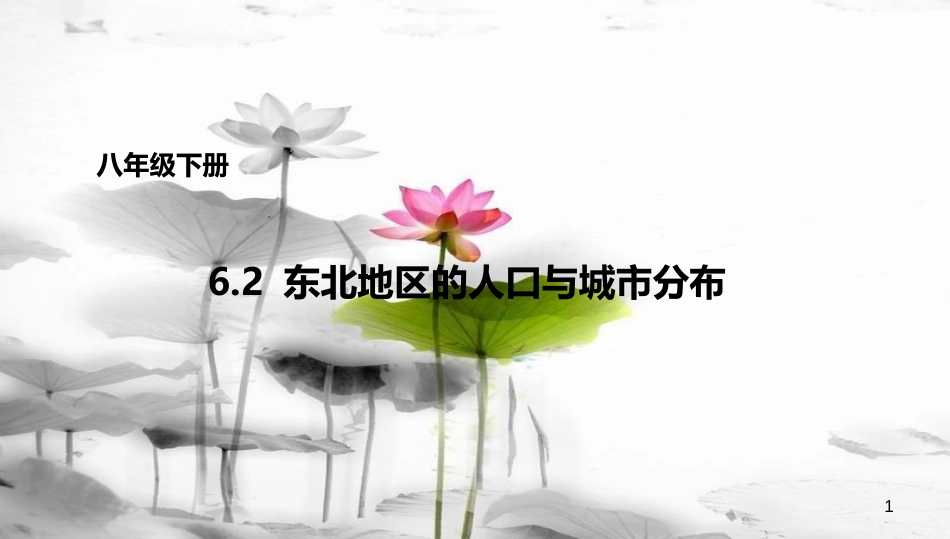 八年级地理下册 6.2 东北地区的人口与城市分布课件1 （新版）湘教版[共30页]_第1页