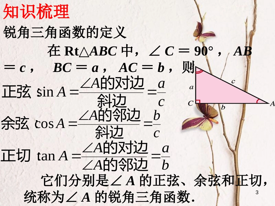 中考数学 第17讲 解直角三角形复习课件1 （新版）北师大版[共30页]_第3页