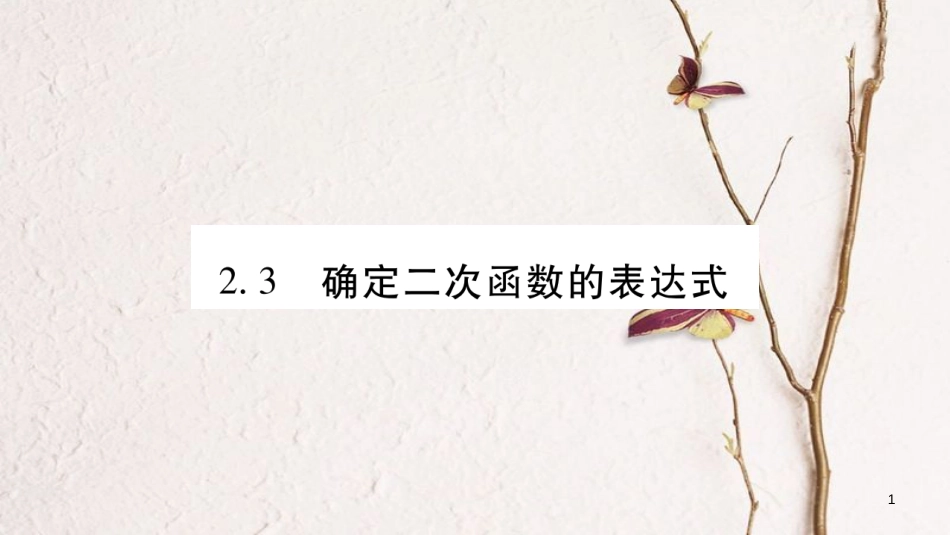 九年级数学下册 第二章 二次函数 2.3《确定二次函数的表达式》习题课件 （新版）北师大版_第1页