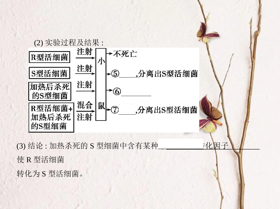 （新课标）高考生物一轮复习 遗传与进化 第5单元 遗传的细胞基础和分子基础 第14讲 基因的本质课件（必修2）[共46页]_第3页