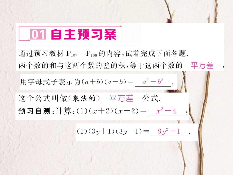 八年级数学上册 14.2.1 平方差公式课件 （新版）新人教版[共18页]_第2页