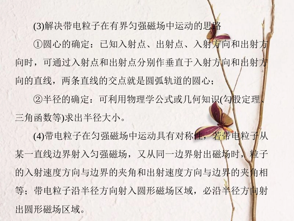 （新课标）高考物理一轮复习 专题六 磁场课件_第3页
