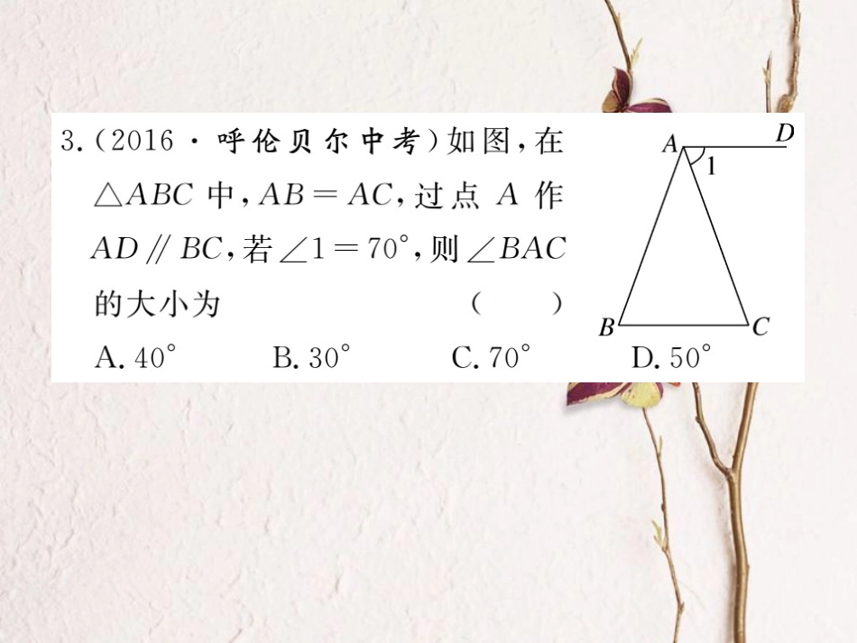 八年级数学上册 13.3.1 第1课时 等腰三角形的性质习题课件 （新版）新人教版_第3页