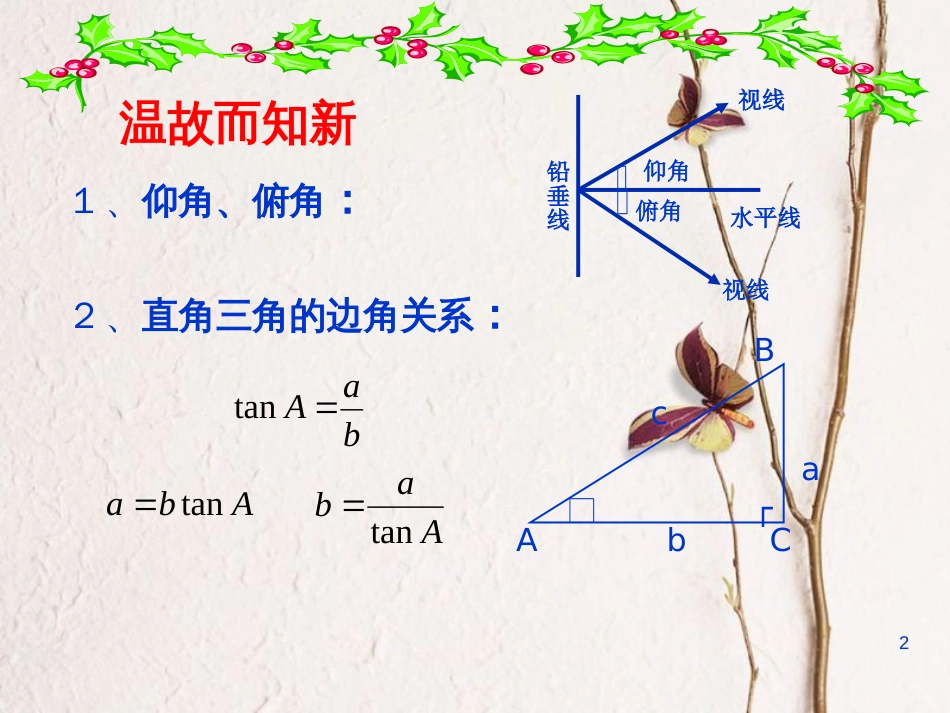 九年级数学下册 1.6 利用三角函数测高课件 （新版）北师大版[共23页]_第2页