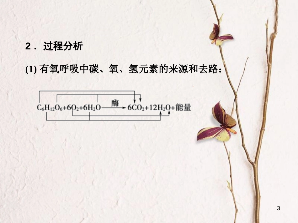 高考生物一轮复习 第3单元 细胞的能量供应和利用 第9讲 细胞呼吸课件_第3页