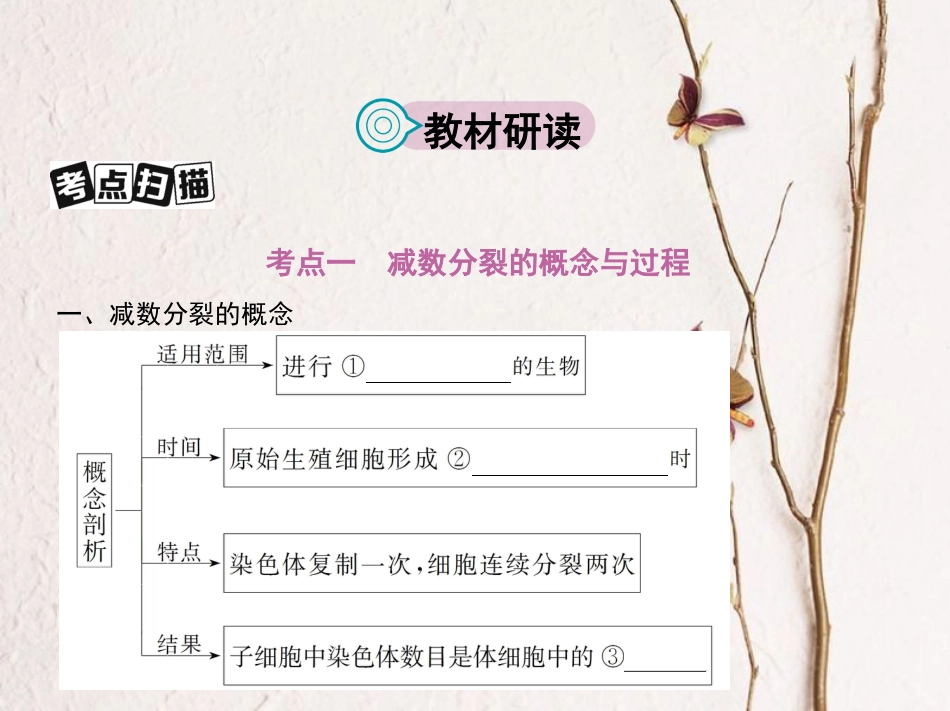 （新课标）高考生物一轮复习 遗传与进化 第5单元 遗传的细胞基础和分子基础 第13讲 遗传的细胞基础课件（必修2）_第2页