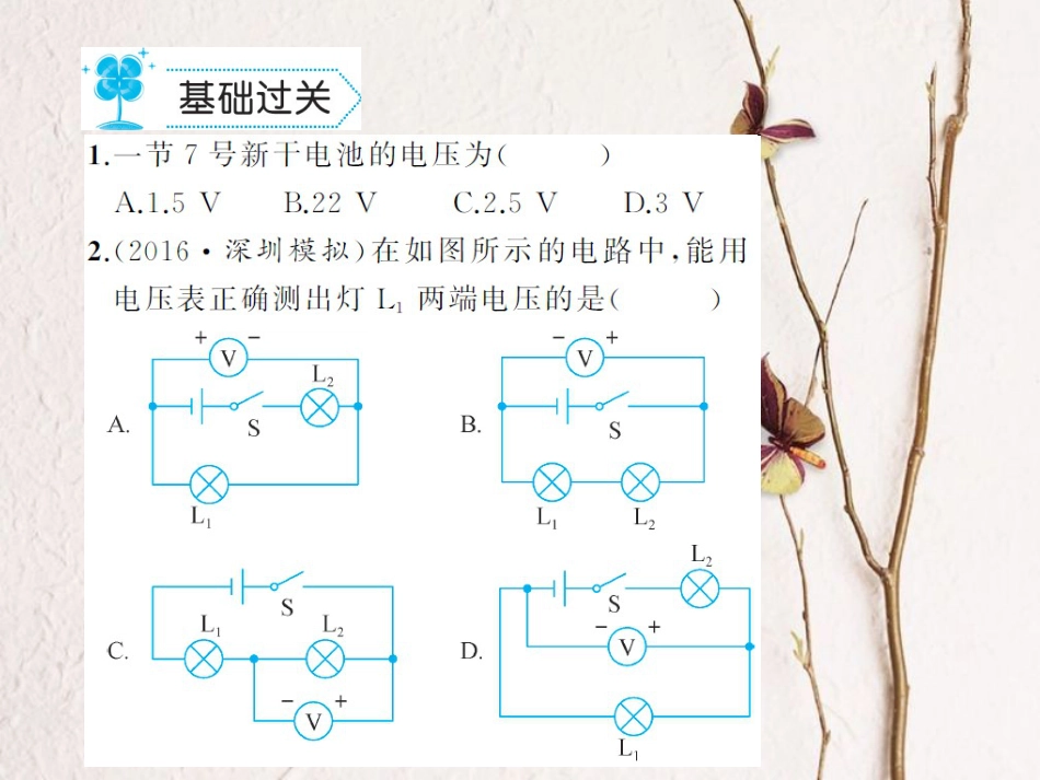 九年级物理全册 16.1 电压习题课件 （新版）新人教版[共12页]_第2页