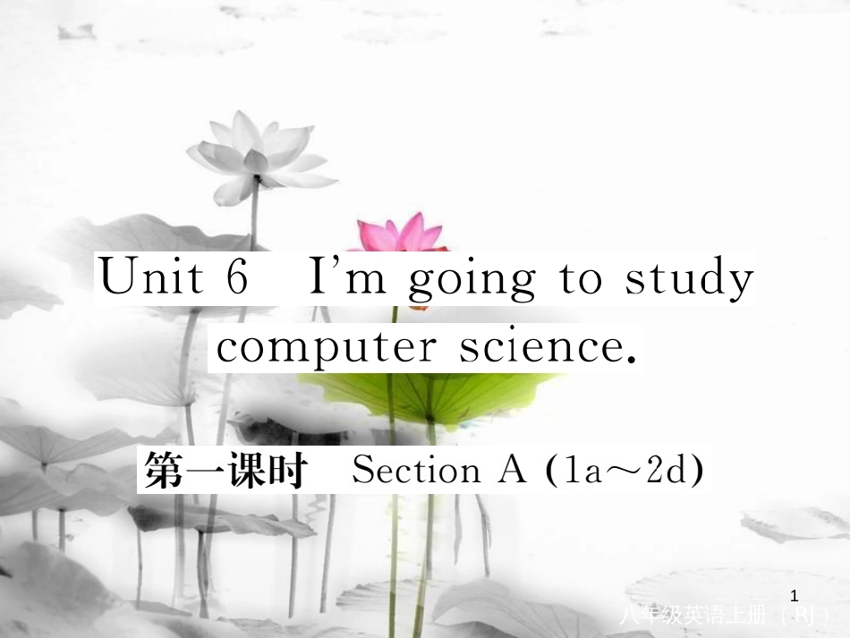 hoeAAA八年级英语上册 Unit 6 Im going to study computer science（第1课时）课件 （新版）人教新目标版_第1页