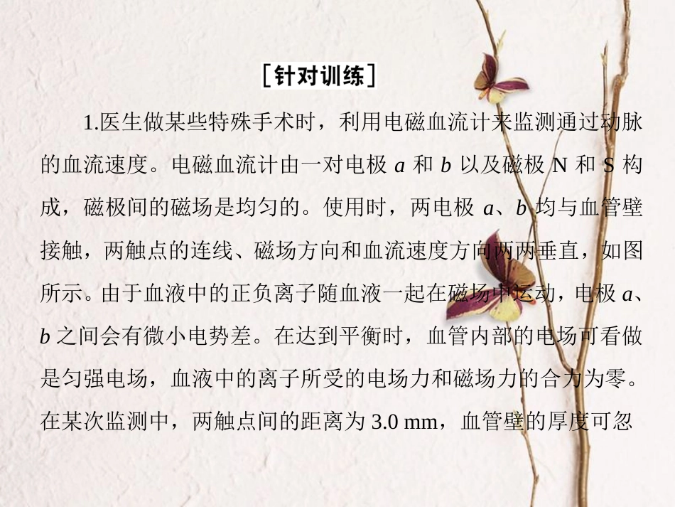 （新课标）高考物理一轮复习 第八章 磁场 第5讲 带电粒子在叠加场中的运动课件_第3页